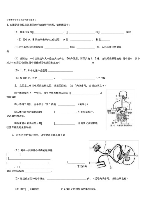 初中生物七年级下册识图题汇总