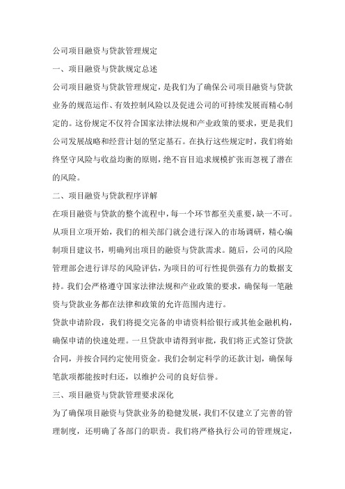 公司项目融资与贷款管理规定