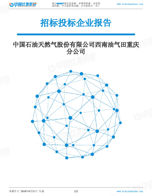 中国石油天然气股份有限公司西南油气田重庆分公司_中标190924