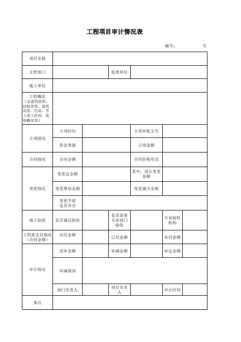 工程项目审计情况表