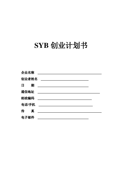 SYB创业计划书空白版