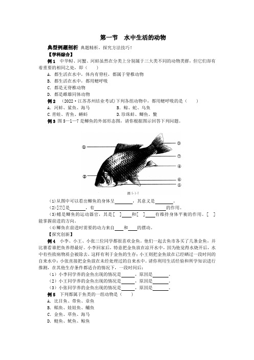 习题：鱼 优秀公开课教案