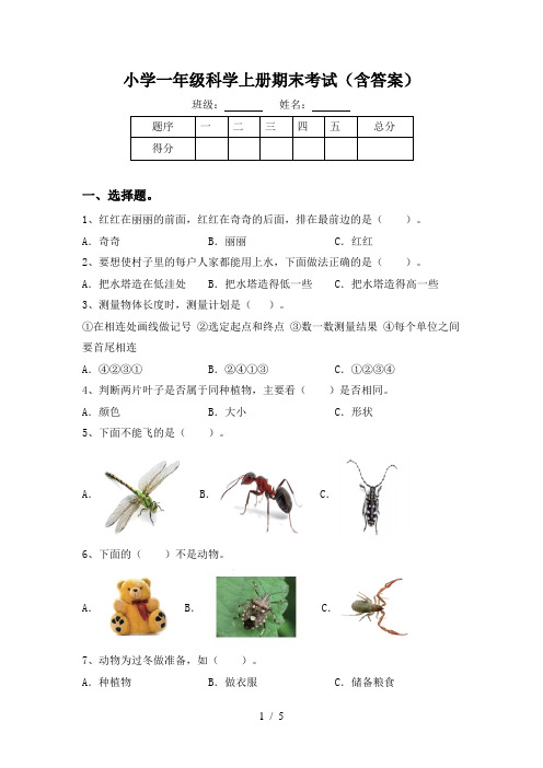 小学一年级科学上册期末考试(含答案)