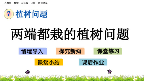 新课标人教版数学五年级上册第七单元课件PPT