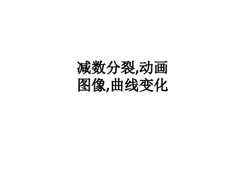 减数分裂,动画图像,曲线变化ppt课件