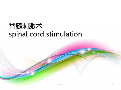 脊髓电刺激PPT课件