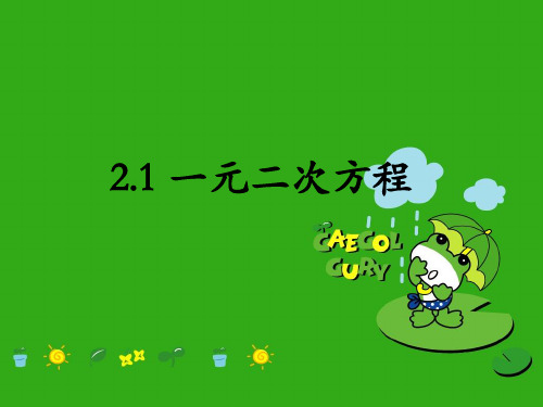 《一元二次方程》PPT课件 (公开课获奖)2022年湘教版 (2)