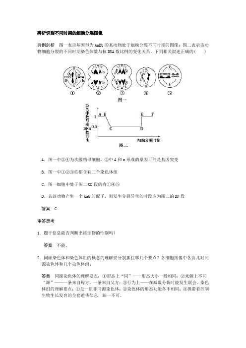 辨析识别不同时期的细胞分裂图像