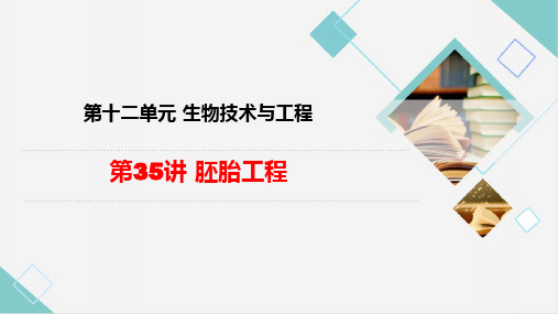 胚胎工程-2024年高考生物一轮复习高效备考课件(新高考专用)