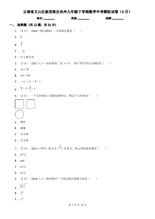 云南省文山壮族苗族自治州九年级下学期数学中考模拟试卷(4月)