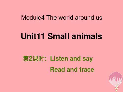 三年级英语上册 Unit 11 Small animals(第2课时)教案 牛津上海版