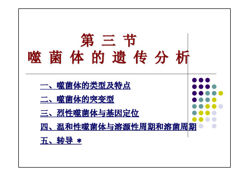 7、细菌和噬菌体的遗传分析2