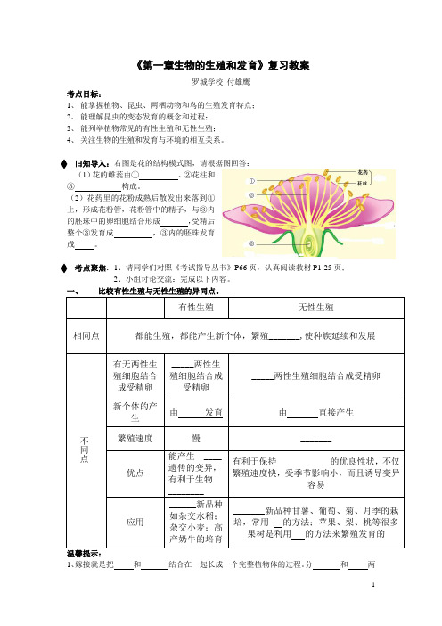 生物人教版八年级下册生物的生殖与发育复习教案