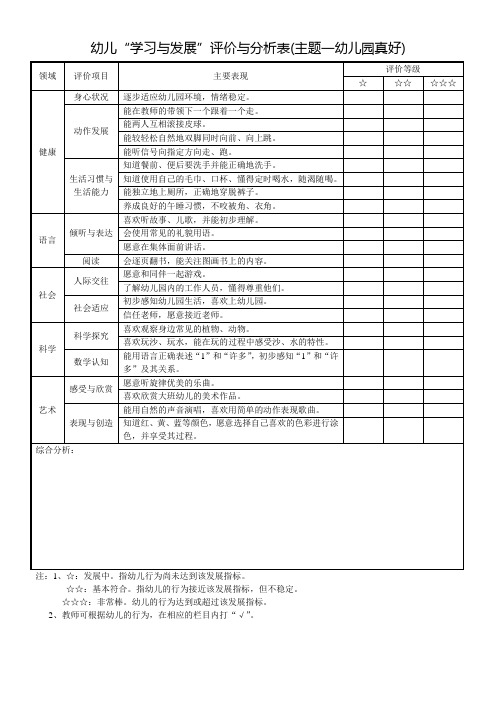 幼儿“学习与发展”评价与分析表