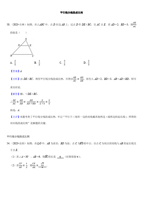 2024年初中升学考试九年级数学专题复习平行线分线段成比例