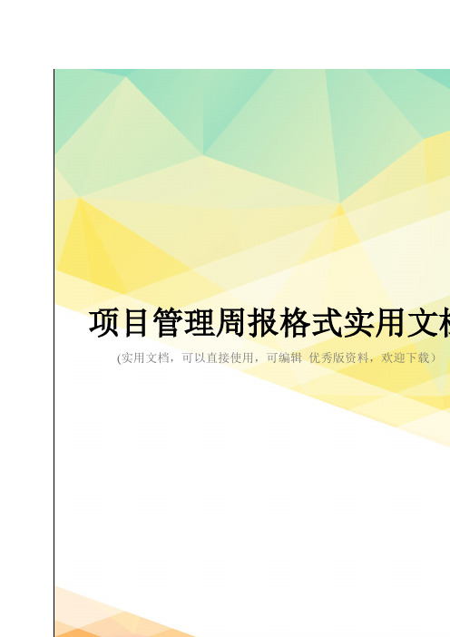 项目管理周报格式实用文档