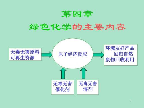 绿色化学-第四章