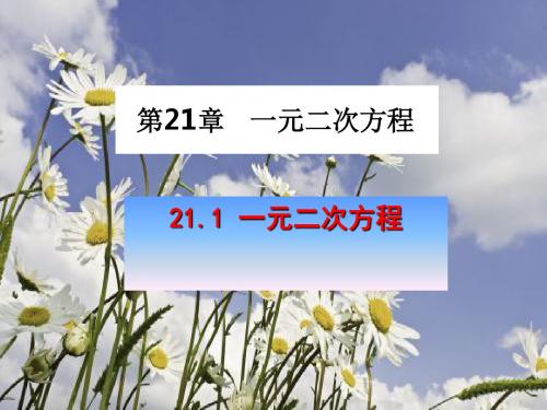 人教版九年级数学上册 21.1 一元二次方程 课件(共37张PPt)