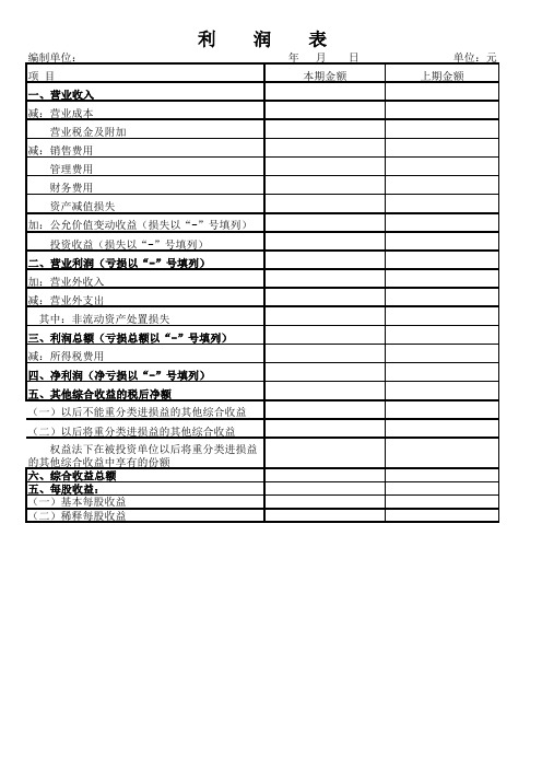 注会利润表模板