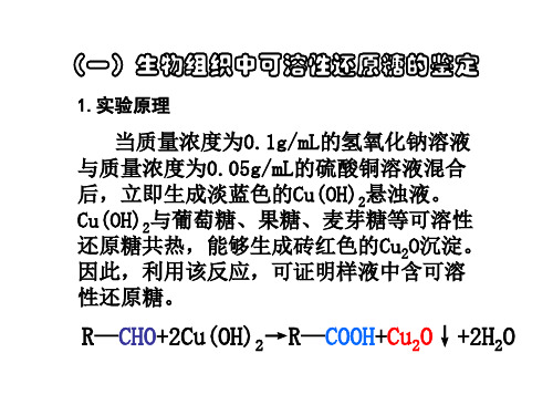 糖类脂肪蛋白质的鉴定