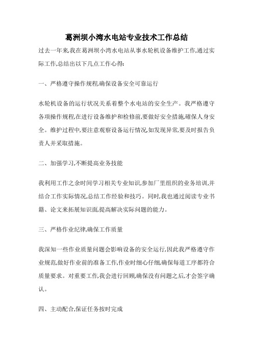 葛洲坝小湾水电站专业技术工作总结