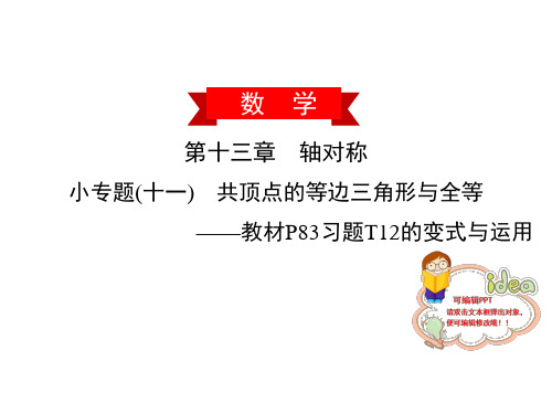 小专题十一共顶点的等边三角形与全等人教版八年级数学上册作业课件