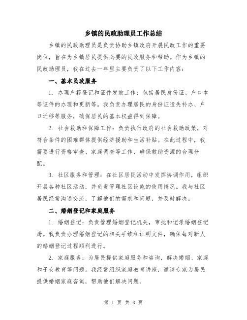 乡镇的民政助理员工作总结