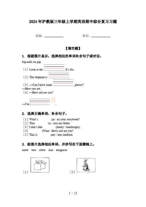 2024年沪教版三年级上学期英语期中综合复习习题