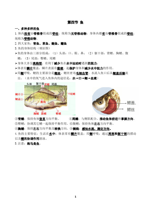 第四节 鱼 默写背诵