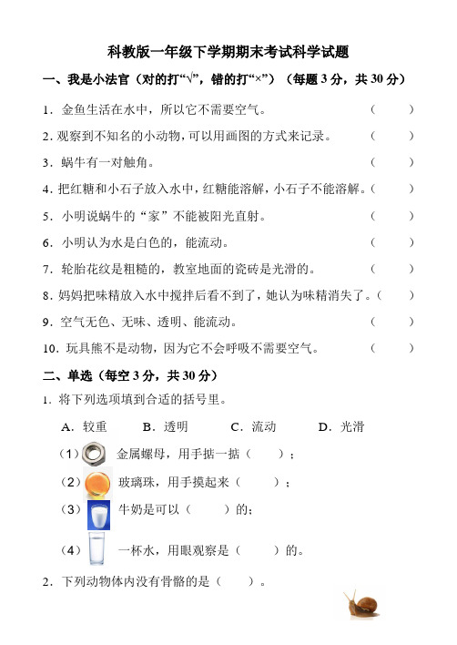 【科教版】一年级下册科学《期末考试卷》含答案