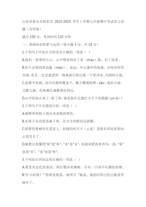 山东省泰安市新泰市2023-2024学年七年级上学期期中考试语文试题(含答案)