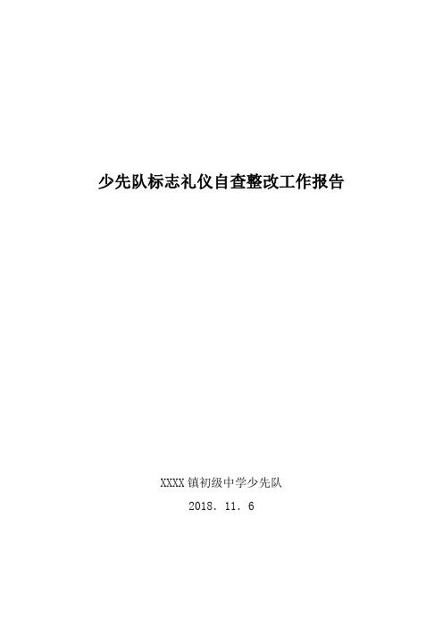 少先队标志礼仪自查整改工作报告