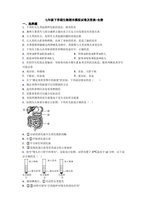 七年级下学期生物期末模拟试卷及答案-全册