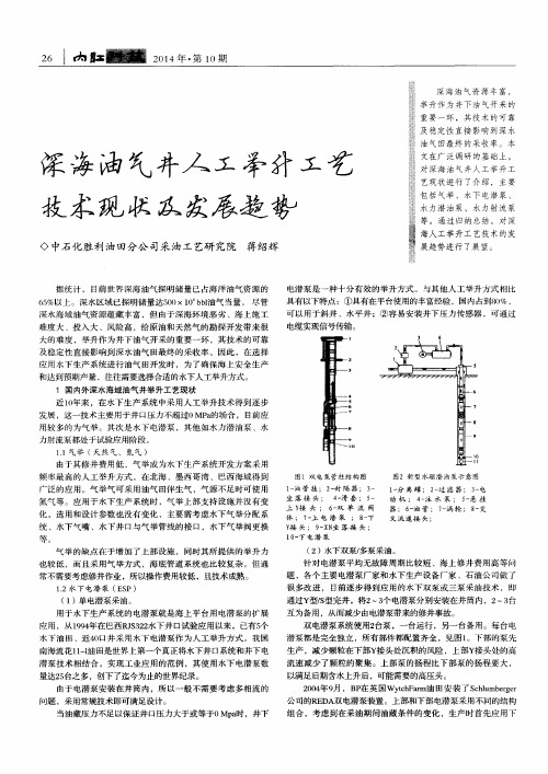 深海油气井人工举升工艺技术现状及发展趋势