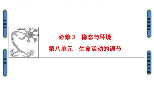 高三生物一轮复习第8单元第1讲人体的内环境与稳态课件新人教版必修3