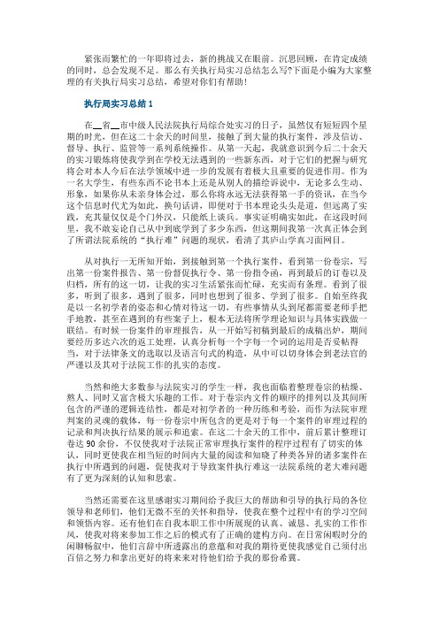 执行局实习总结范文