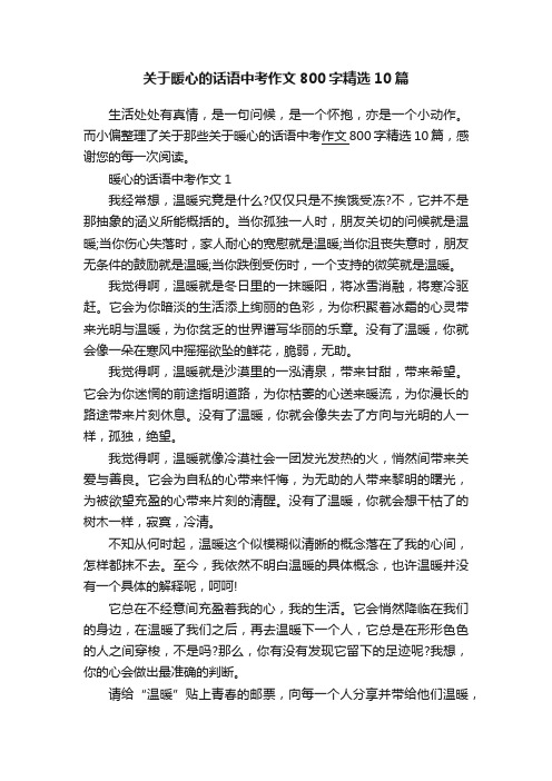 关于暖心的话语中考作文800字精选10篇