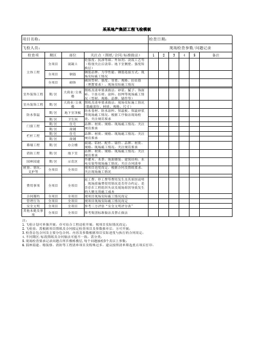 某某地产项目飞检检查表模板