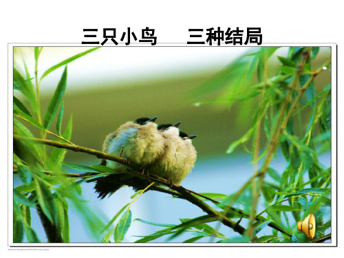 正确对待理想与现实以及惜时PPT