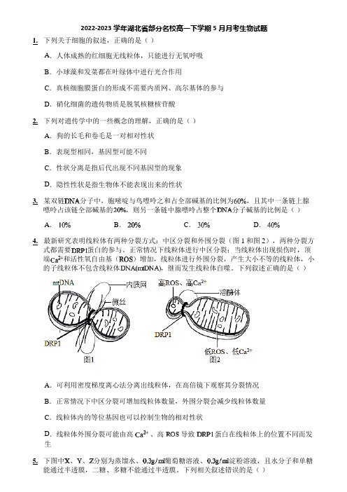 2022-2023学年湖北省部分名校高一下学期5月月考生物试题