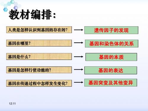 人教版·高中生物·必修2·第5章·第1节：基因突变与基因重组