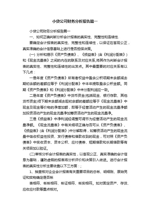 小贷公司财务分析报告篇一