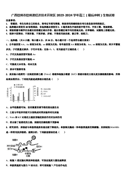 广西钦州市钦州港经济技术开发区2023-2024学年高三(最后冲刺)生物试卷含解析