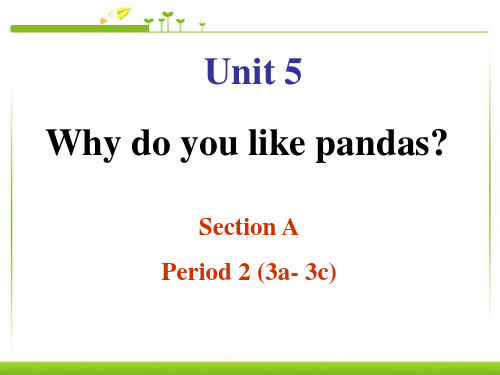 《Why-do-you-like-pandas》PPT课件4-(共26张PPT)