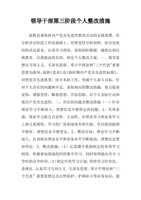 领导干部第三阶段个人整改措施