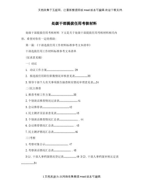 处级干部提拔任用考核材料