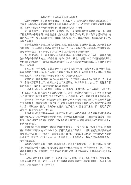 乡情把黄土地渲染成了金灿灿的烟火