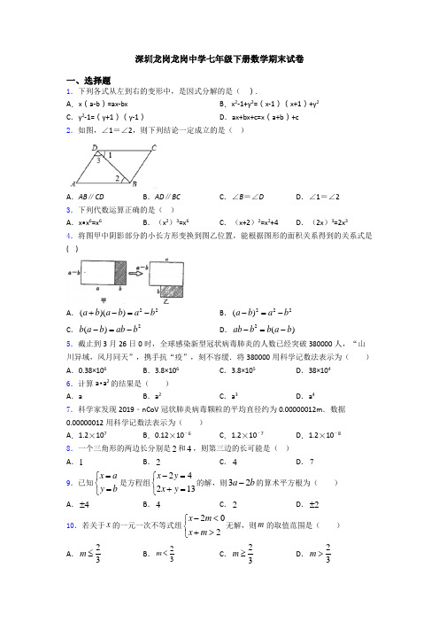 深圳龙岗龙岗中学七年级下册数学期末试卷