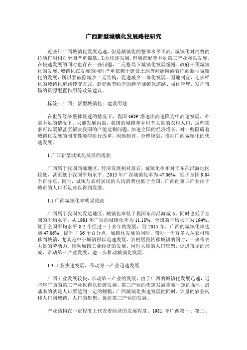 广西新型城镇化发展路径研究