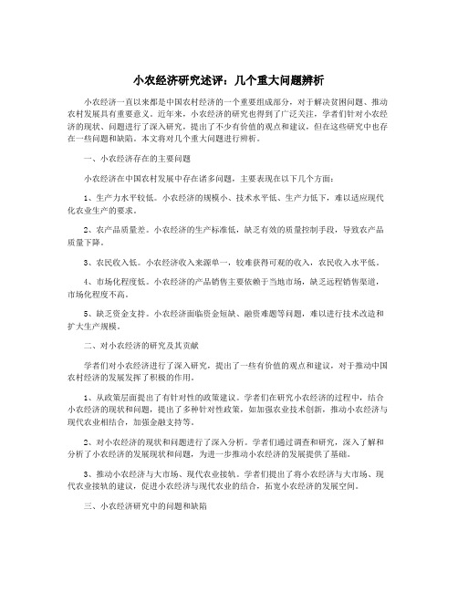 小农经济研究述评：几个重大问题辨析